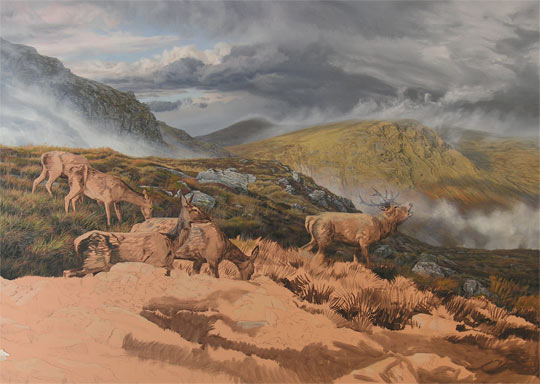 Red Deer Stag and Hinds in Glen Lyon